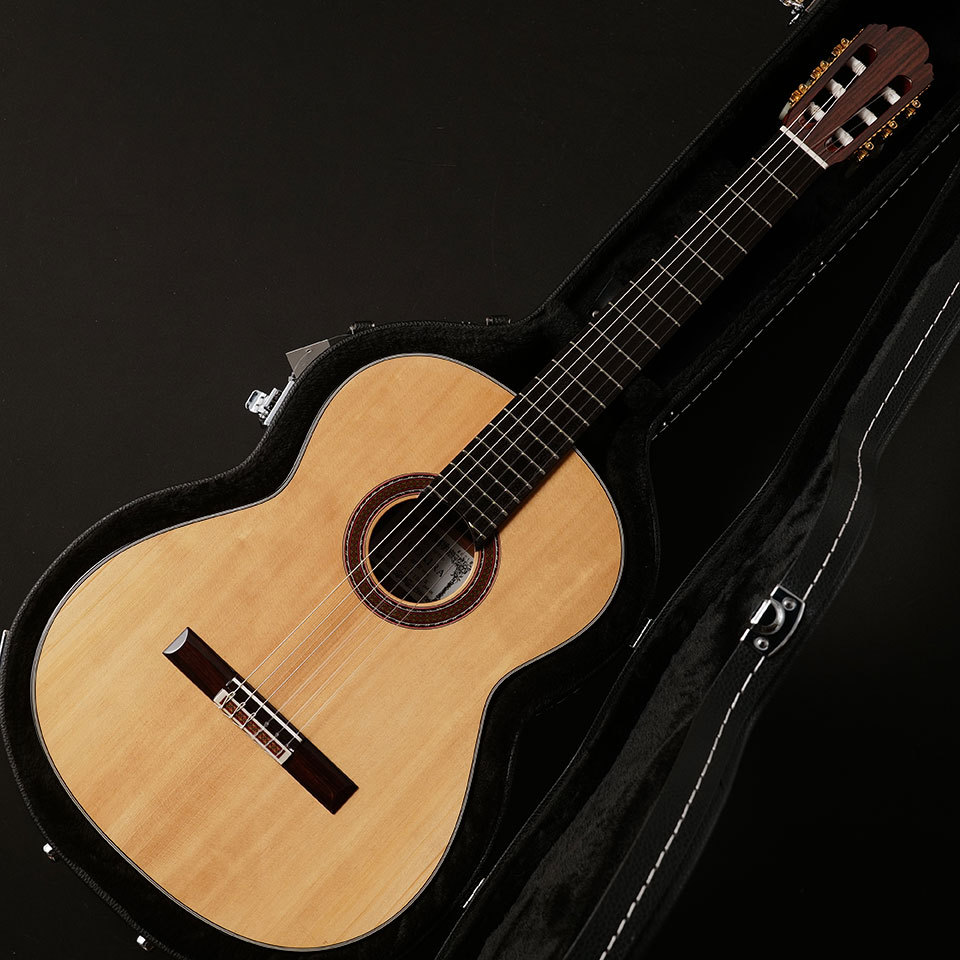 KODAIRA/AST-100S ハードケース付属セット 高いコストパフォーマンスで