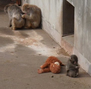 😭😭😭😭😭😭🫳🏻