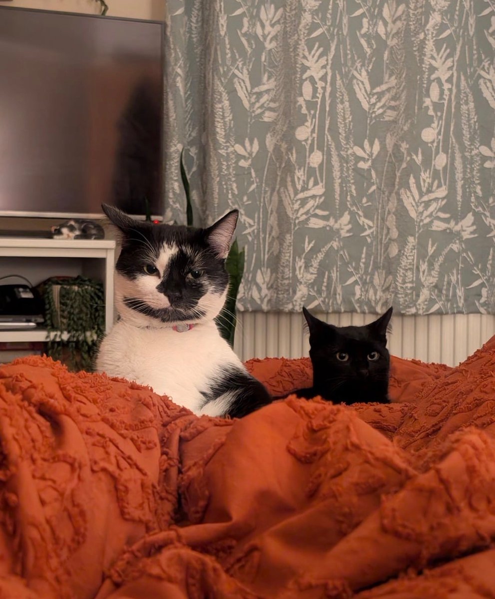 Unhappy with their papa's singing