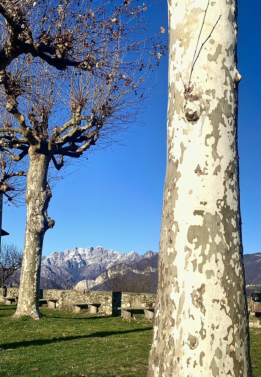 Così, per iniziare bene il Lunedì 

📷 buongiorno 💙