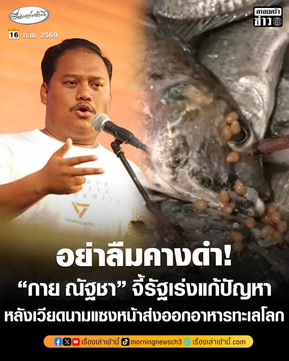 อย่าลืมคางดำ! “กาย ณัฐชา” หมดหวังวิกฤตประมงไทย จี้รัฐเร่งแก้ปัญหาเชิงโครงสร้าง หลังเวียดนามแซงหน้าส่งออกอาหารทะเลโลก หวั่น “ปลาหมอคางดำ” ทำลายระบบนิเวศซ้ำเติมห่วงโซ่อุปทาน

อ่านข่าว : ch3plus.com/news/political…

#เรื่องเล่าเช้านี้ #ครอบครัวข่าว3 #ข่าวการเมือง #ปลาหมอคางดำ