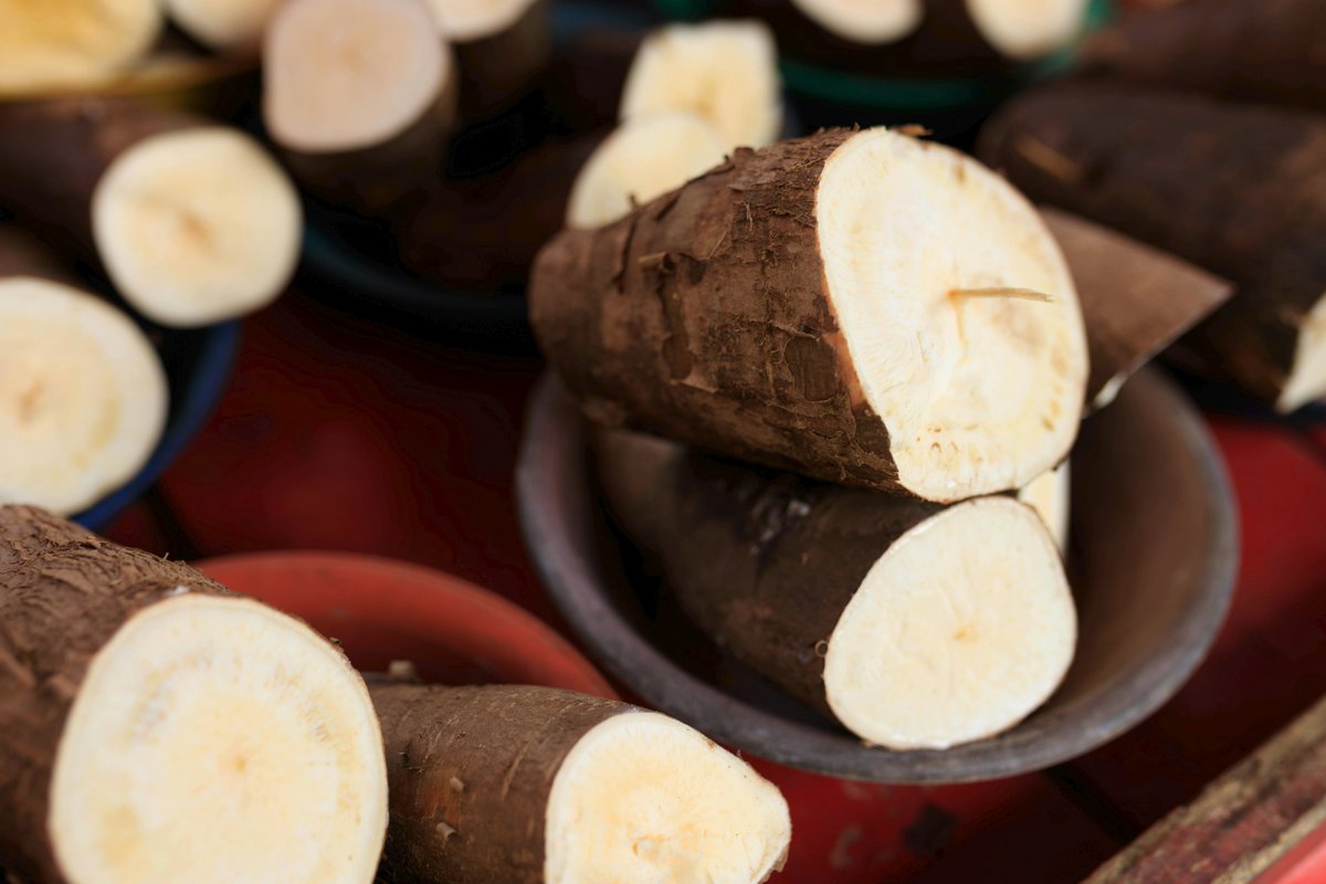 Agribook.Digital tweet media