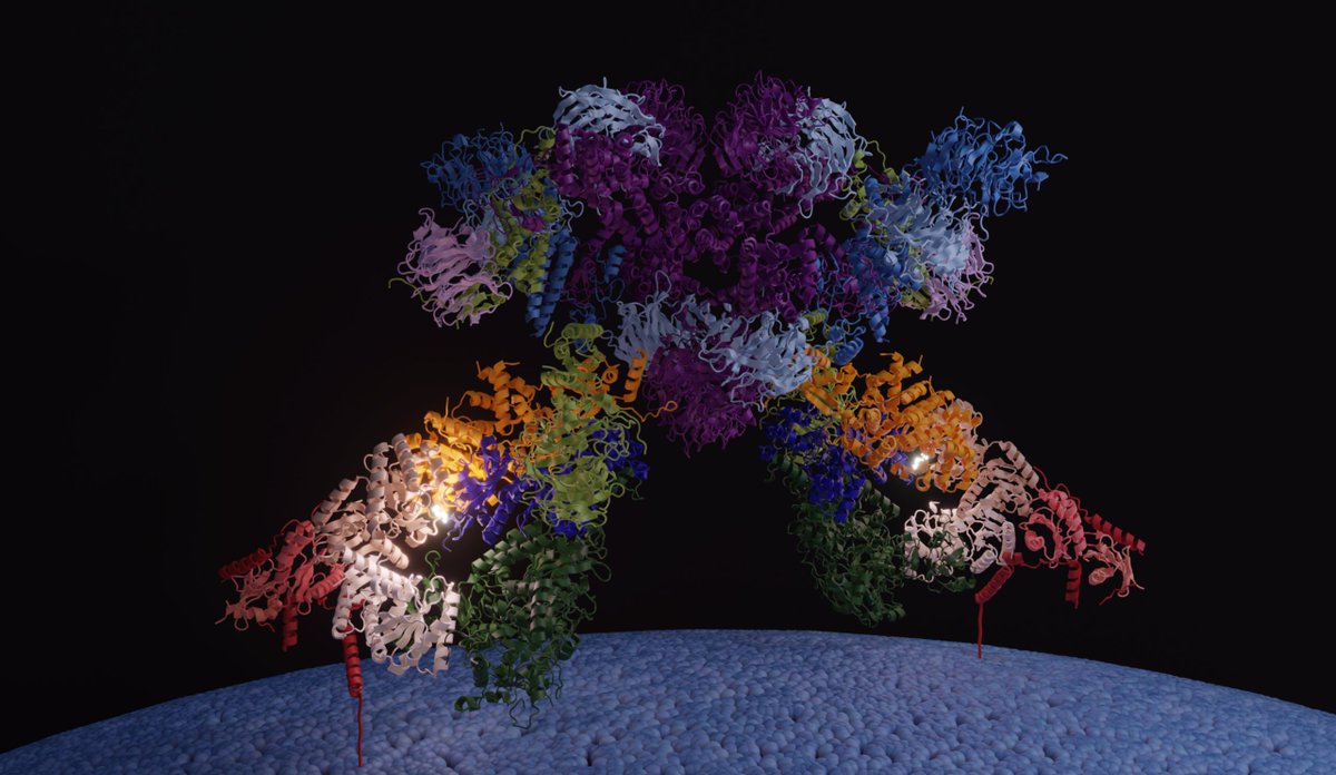 Biologie - UNIGE tweet media