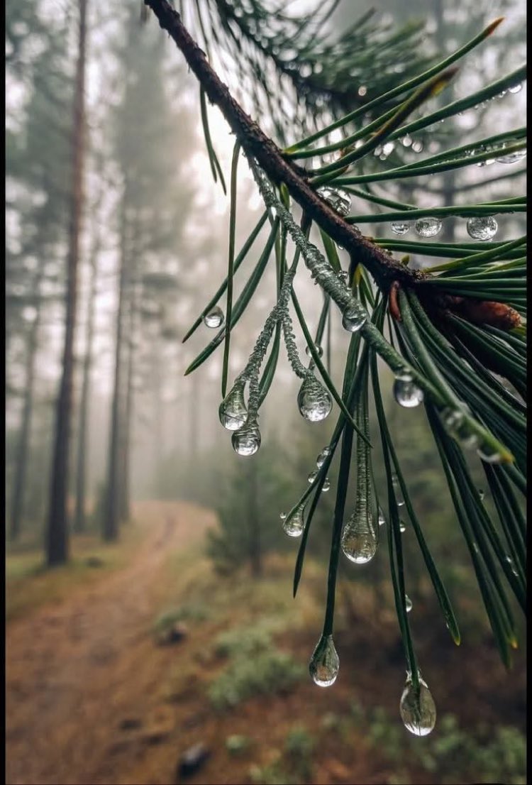 Vefa denen şey gerçek olsaydı , Allah Kur'anda insanı tanımlarken defalarca  " İnsanoğlu pek nankördür " demezdi.