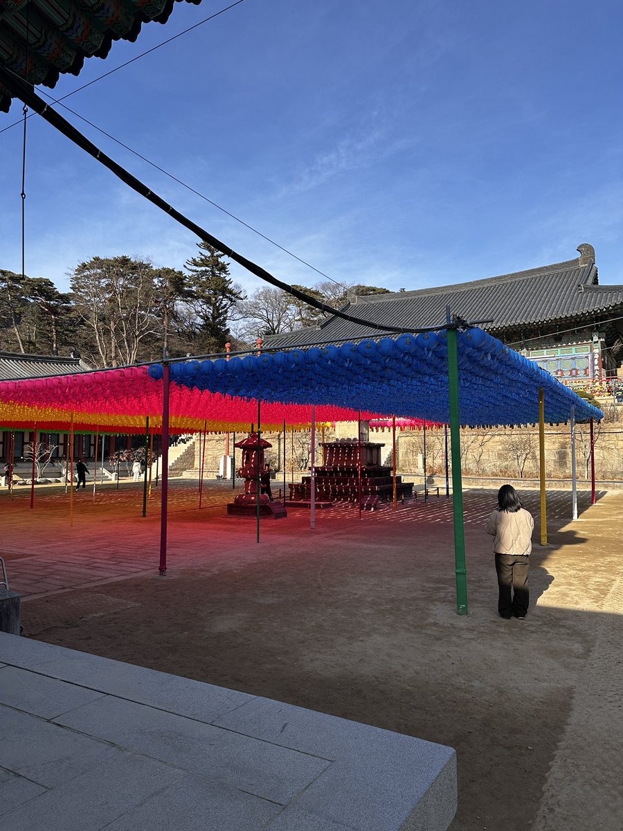 EnvyTaylor 🐹 tweet media