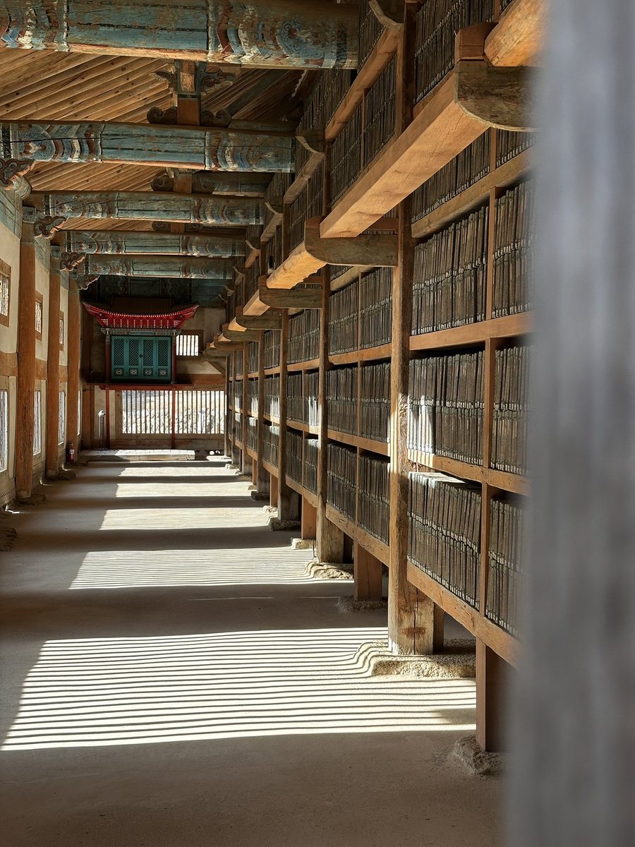 EnvyTaylor 🐹 tweet media