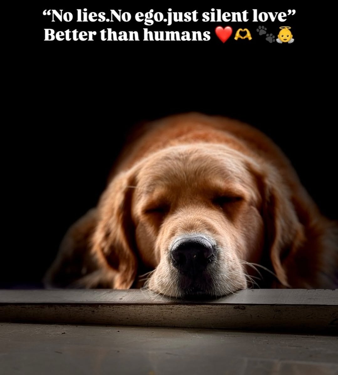 True 🤌🏼❤️