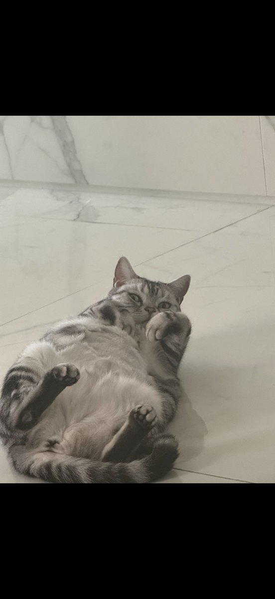 바울이가 고소해도 바울이 응원할게