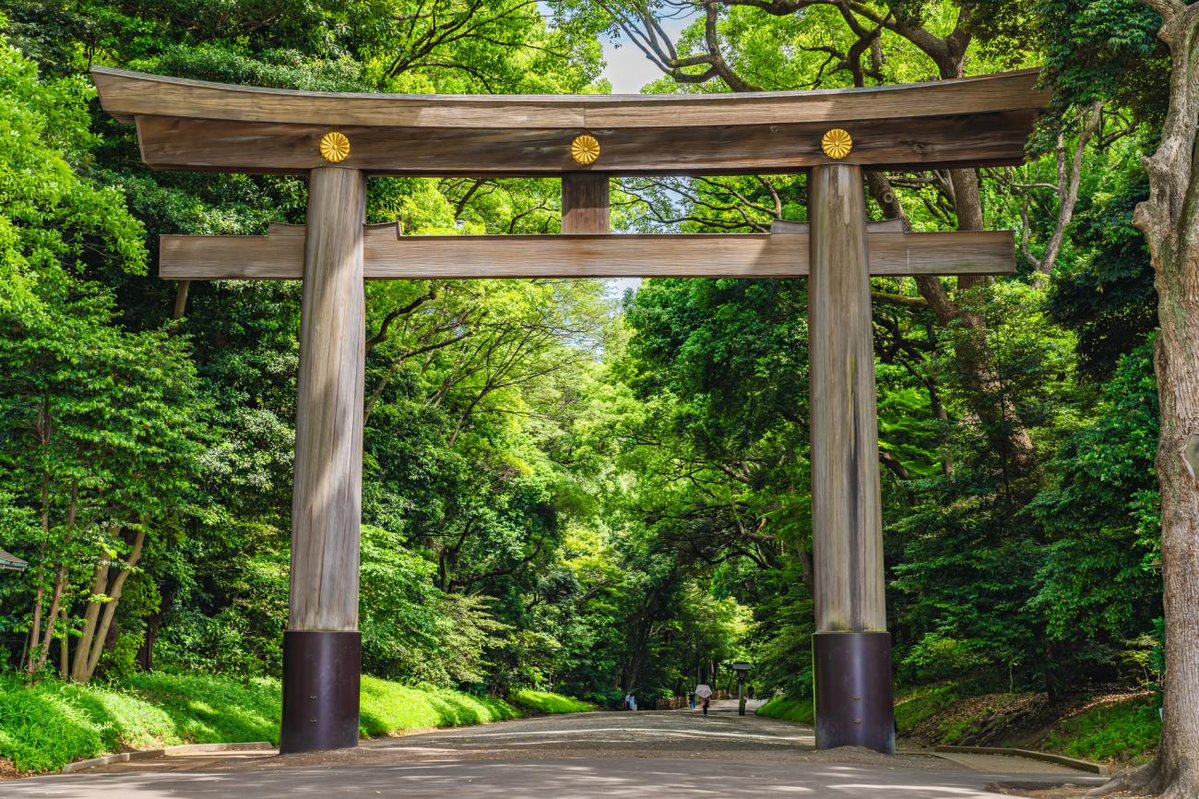 ชอบสวน​สาธารณะ​แบบ Yoyogi Park ในโตเกียว​ คือเป็นตย.ที่ชัดเจนของ "ป่าในเมือง" ที่สมบูรณ์แบบ ดูเขียวชอุ่มเหมือนป่าจริง ต่างจากหลายๆเมืองที่สวนดู​แห้งๆ พอโตหน่อย​ก็ไปยุ่งกับมัน​ ตัดแต่ง​ โตแบบลีบๆ​ สะท้อนถึงการให้ความสำคัญกับพื้นที่สีเขียวว่าเป็นแค่ของตกแต่งหรือเป็นปอดของเมืองจริงๆ