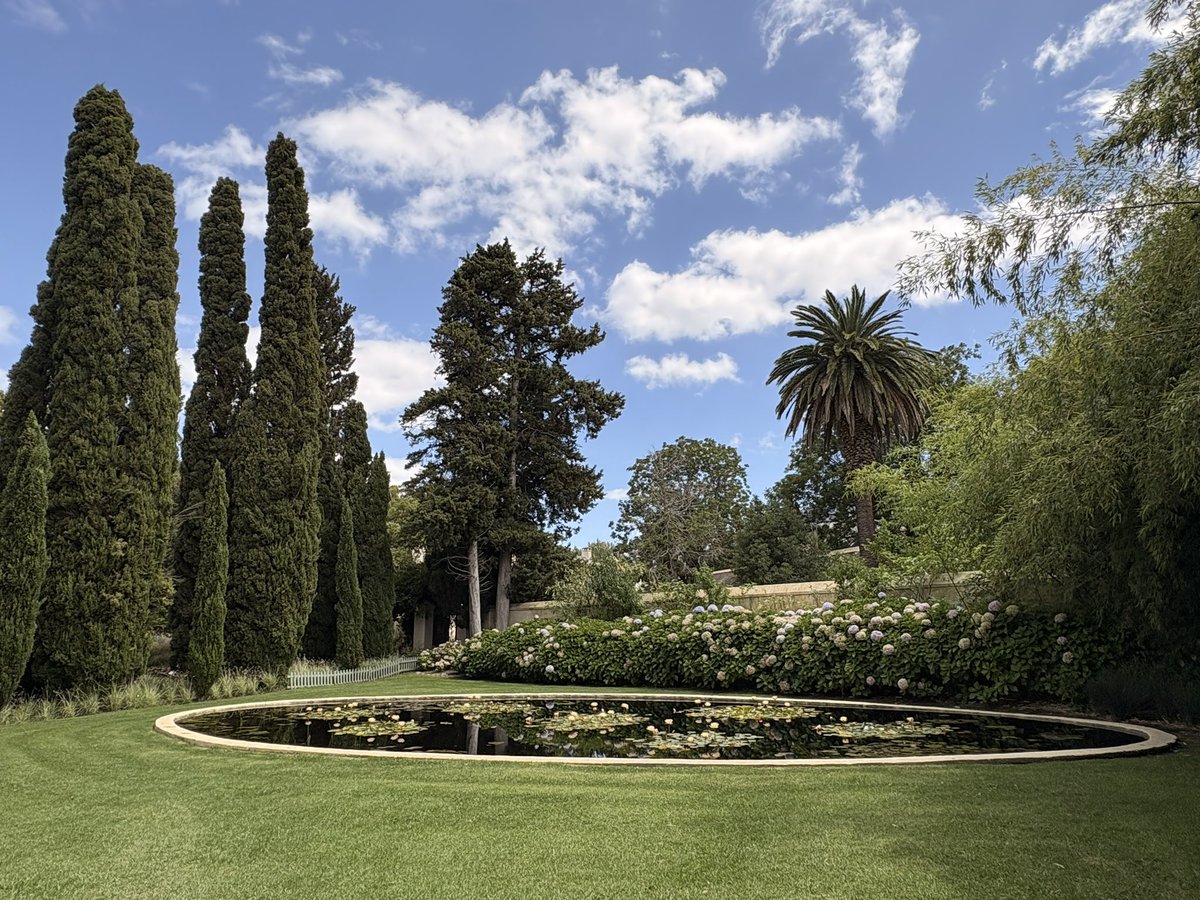 Frieda Lloyd tweet media