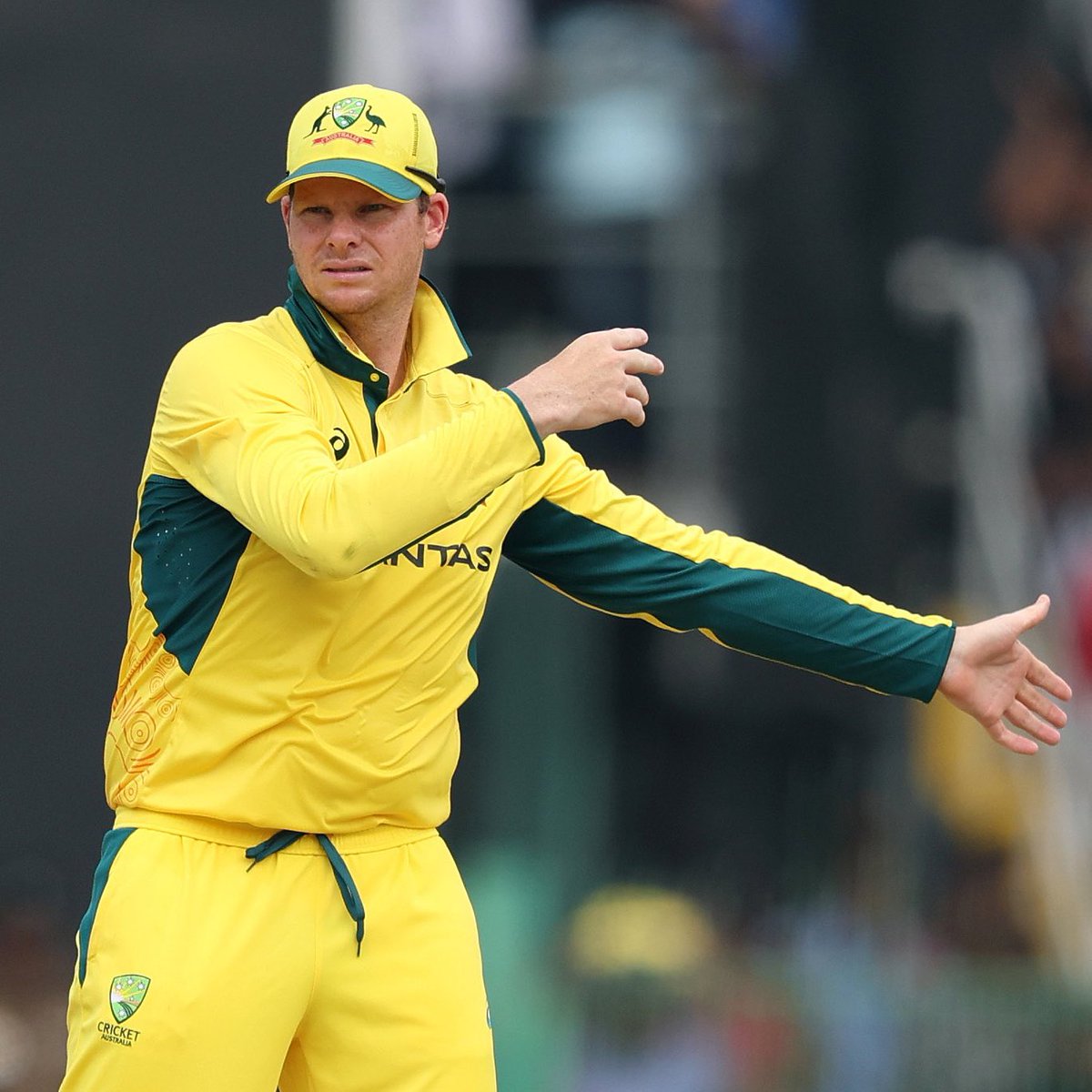 Test Match Special tweet media