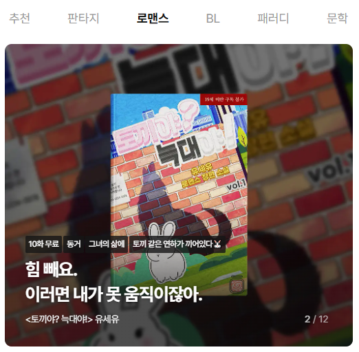 비스킷미디어 tweet media