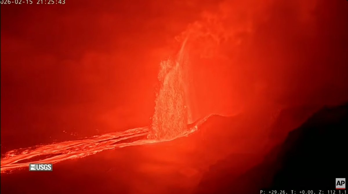 はーちゃんです