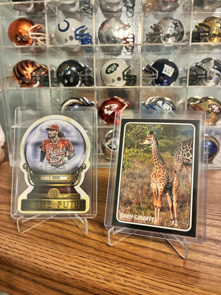 BSKeller's tweet image. #GIVEAWAY 🔔

Allotment of 8 Baseball Cards. 
Don’t need to follow. 
I just ask you like, repost &amp;amp; maybe check my eBay store in profile. I am selling what I have left and trying to get out of the sports card world. 
Drawing for winner will be the night of Feb. 19th.

Thanks!