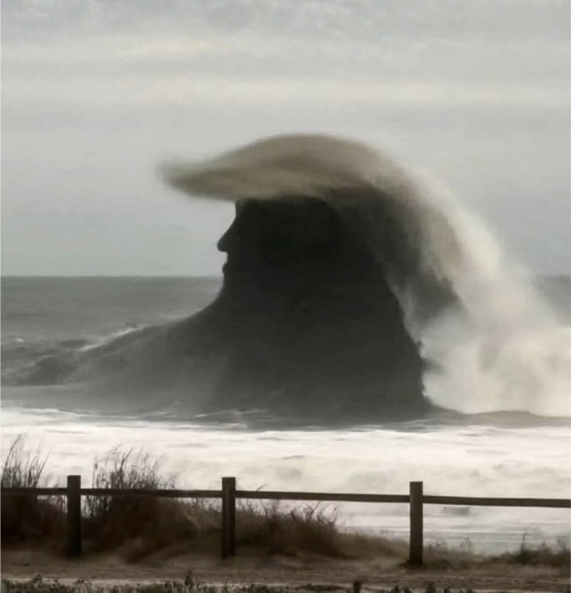 자네 어디서 머리했나
백악관에서 했습니다