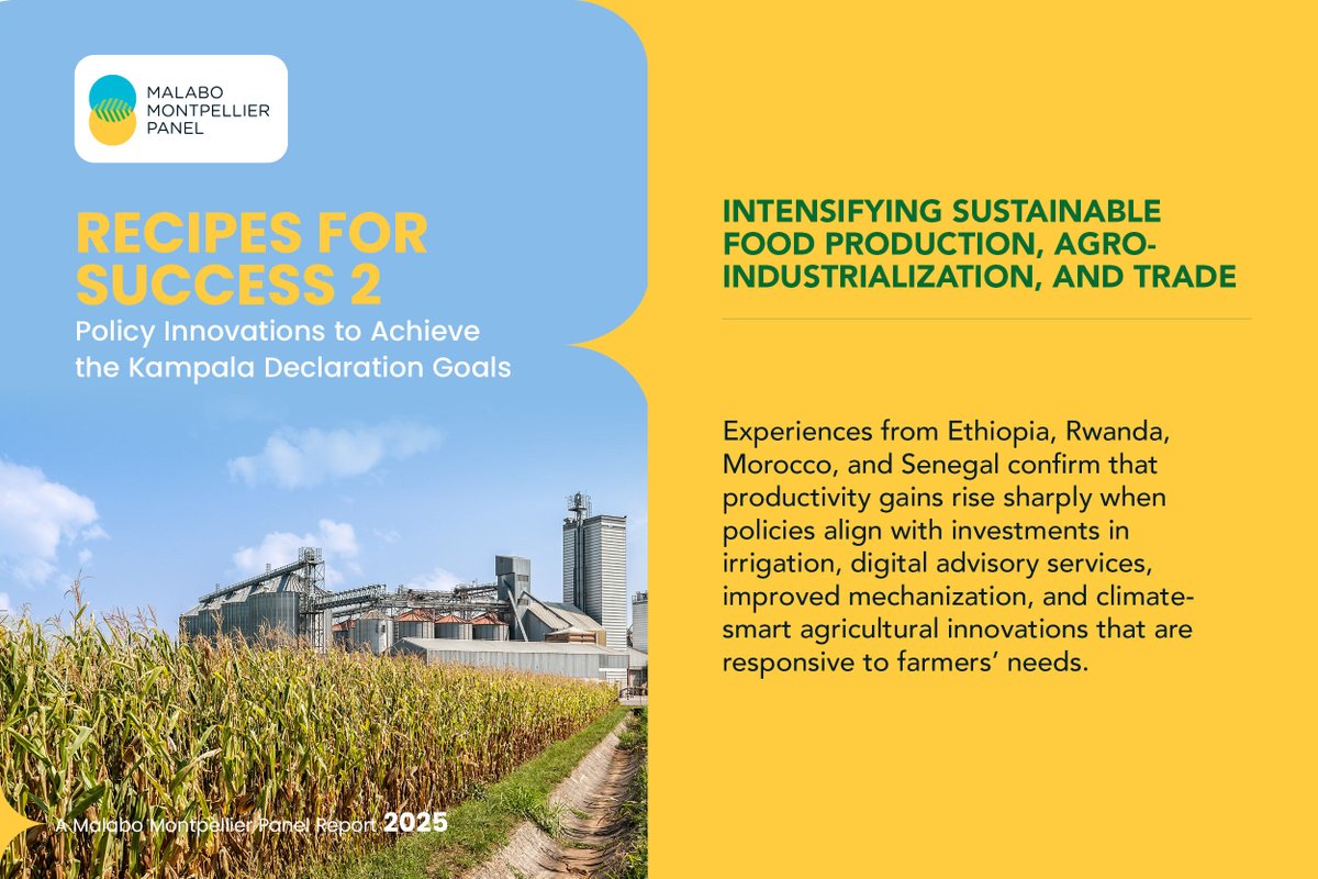 MaMoPanel's tweet photo. @MaMoPanel’s #RecipesforSuccess report presents a synthesis of proven lessons to guide the implementation of the @_AfricanUnion’s #KampalaDeclaration. Based on experiences from across #Africa, the Panel proposes a roadmap to boost agricultural productivity, accelerate #agrifood processing & trade, expand innovative finance mechanisms, improve #foodsecurity & #nutrition, advance economic equity & build #resilience to #climate-related & economic shocks.
Press release: https://t.co/4C5LmVmqlI