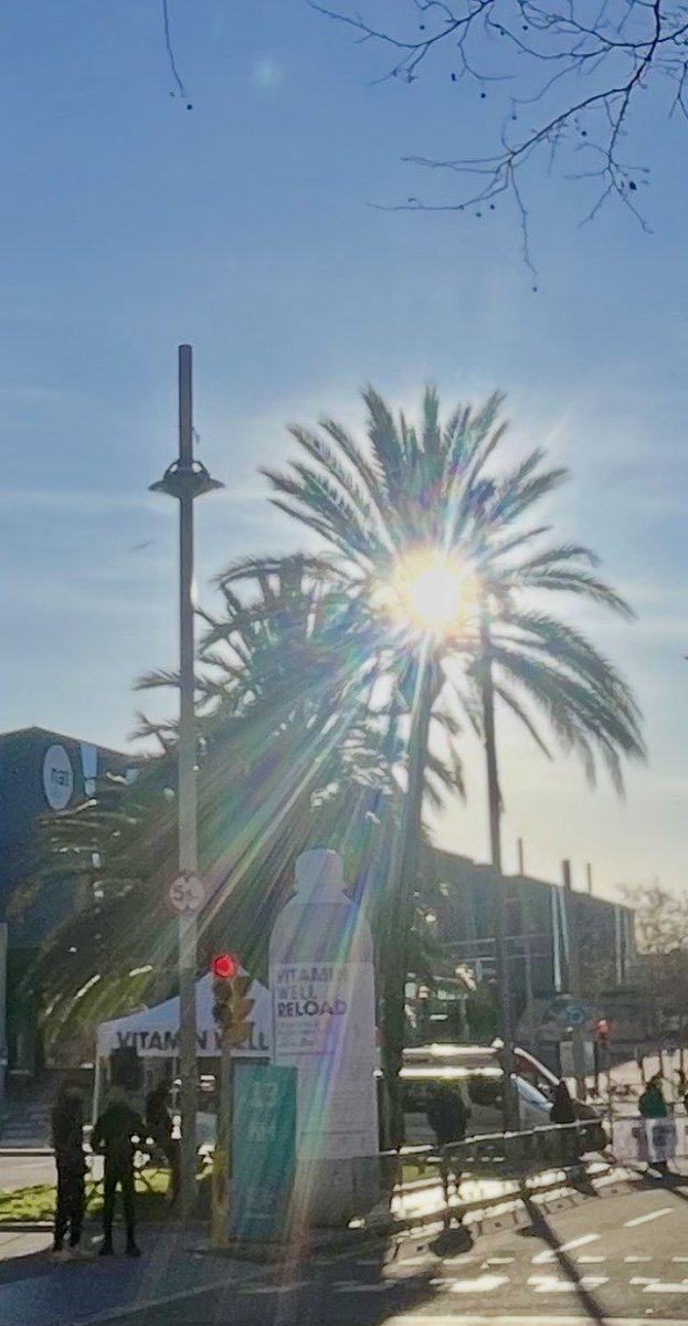 JordiAlterego's tweet image. El tiempo de luz solar del día se alarga. Llego tarde a los amaneceres 😅🥺

En Barcelona hemos ganado una hora de luz. 

La buena noticia es que ya huele a Primavera 🌺🌸🌻🌹