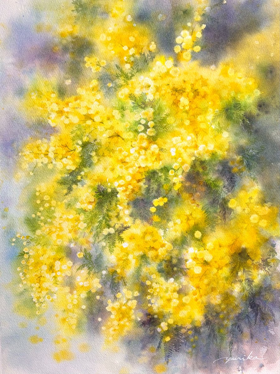 ミモザを描きました🟡🌿 #透明水彩 #watercolor