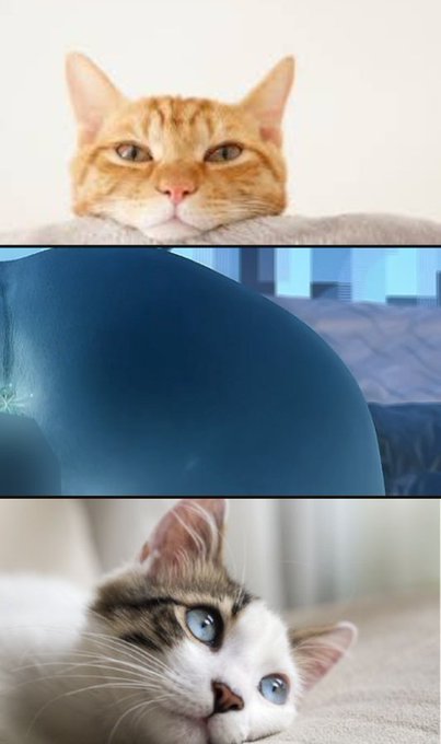 นมสด. tweet media