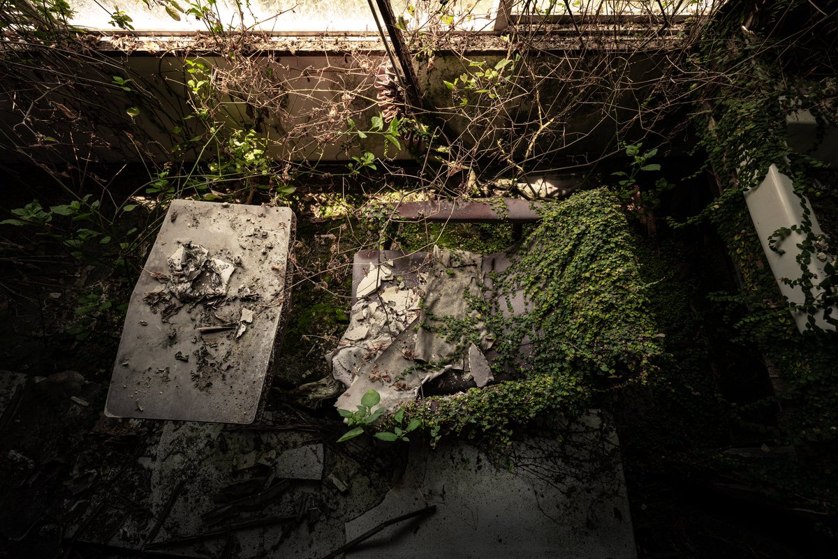 urbex47.🎥廃墟record tweet media