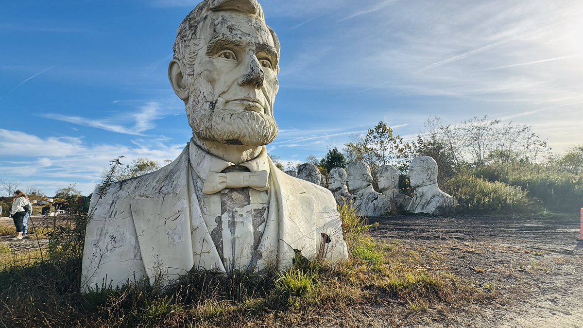 History Dame tweet media