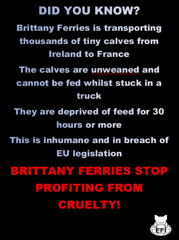 We first contacted <a href="/BrittanyFerries/">Brittany Ferries</a> in 2023, two years before they embroiled themselves in a cruel and unlawful activity. They went in eyes wide open. <a href="/kristofbf/">Christophe Mathieu</a> <a href="/jmrouebferries/">Jean-Marc Roué</a> just don't care 🐮
Please join the campaign 👉bit.ly/4qo1tza
#unforgivablejourneys