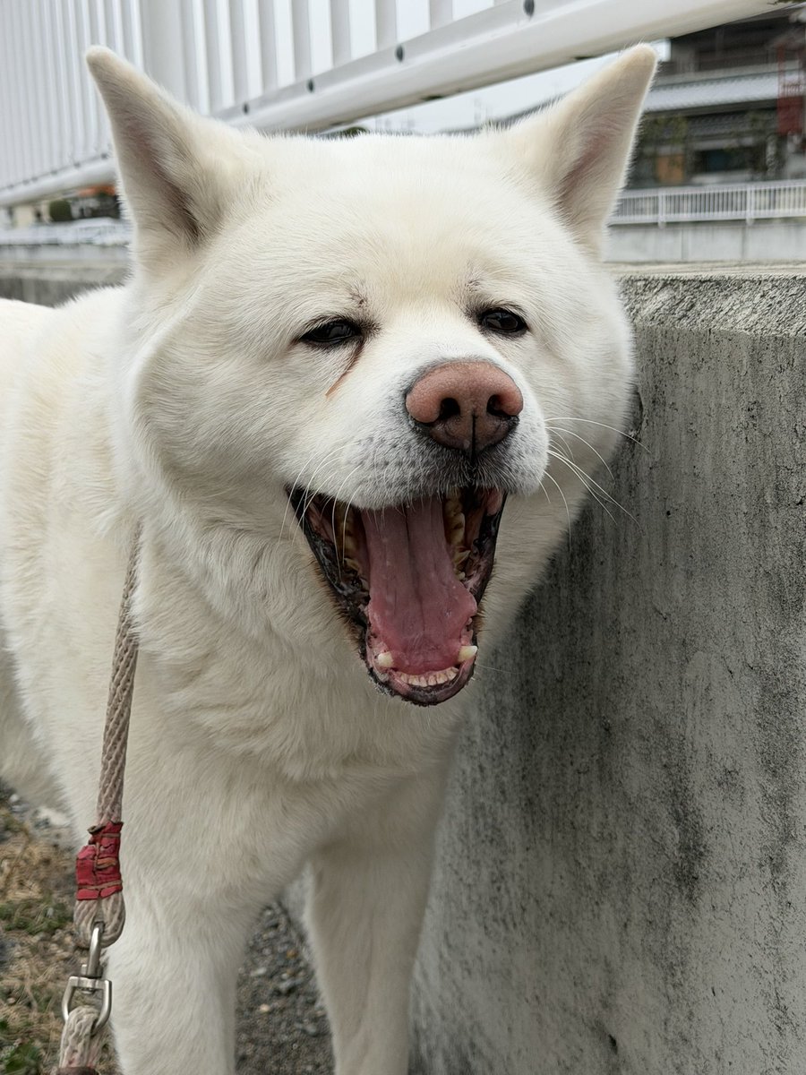 本日も🤣🤣🤣