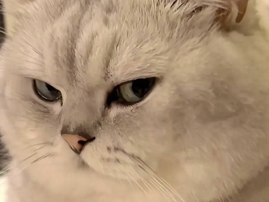 mminniest's tweet image. ยัยจิ๋วนี่จะงอนใครนักหนา เอ็นดูวว🤏🏻💖🥺