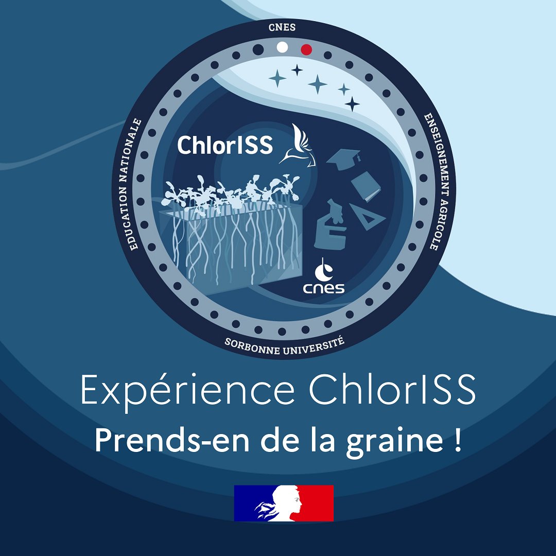 ChlorISS – Prends-en de la graine ! 🌱🚀

À l’occasion de la mission de l'astronaute <a href="/Soph_astro/">Adenot Sophie</a>, plus de 4500 classes vont participer à une expérience scientifique unique sur le développement des plantes, menée en parallèle sur Terre et dans l’ISS ⤵

eduscol.education.fr/4311/l-experie…