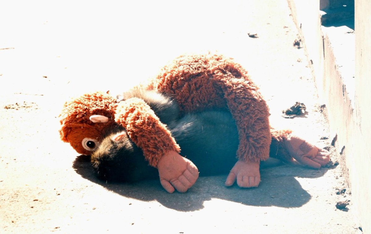 น้องพั้นช์ตัวจิ๋วเดียวเองงง เป็นแค่เด็กคนนึงอ่ะ🥺😭