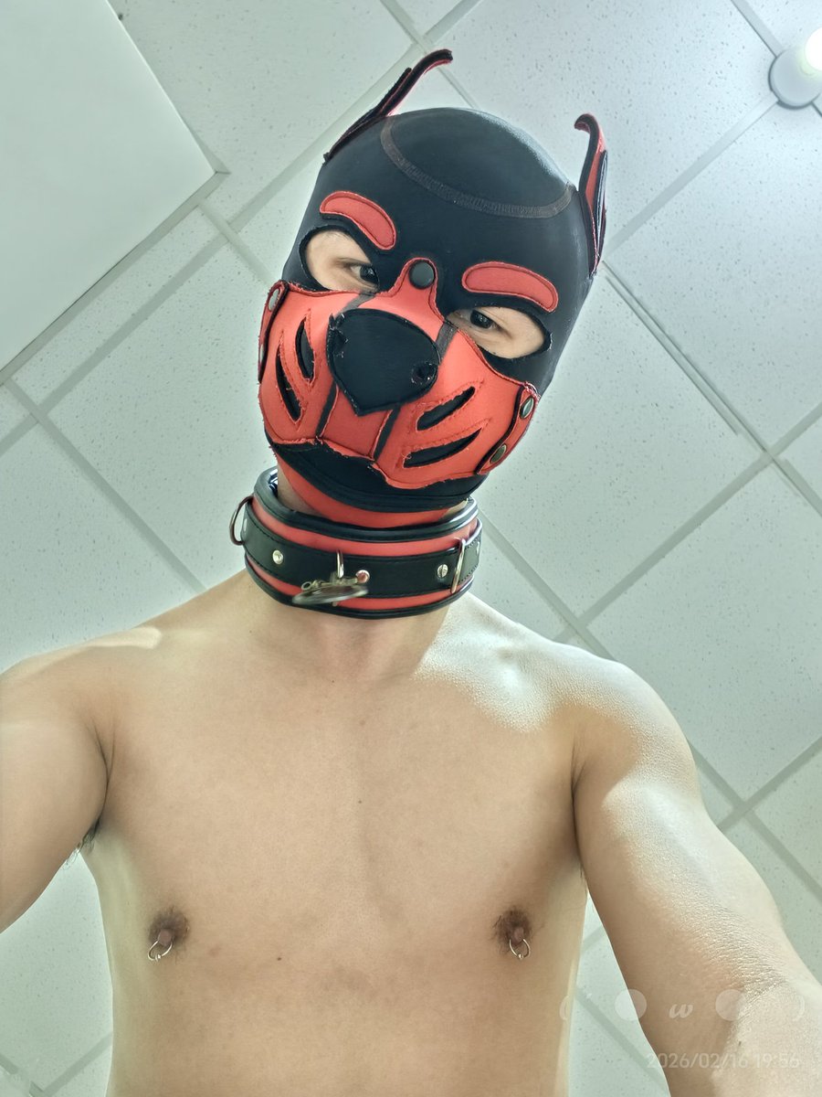 RedBunny (小兔) tweet media