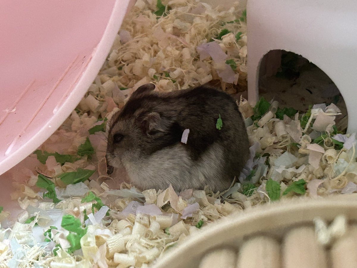 네모네모맴스터