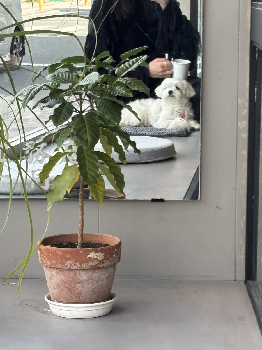 もじゅ tweet media