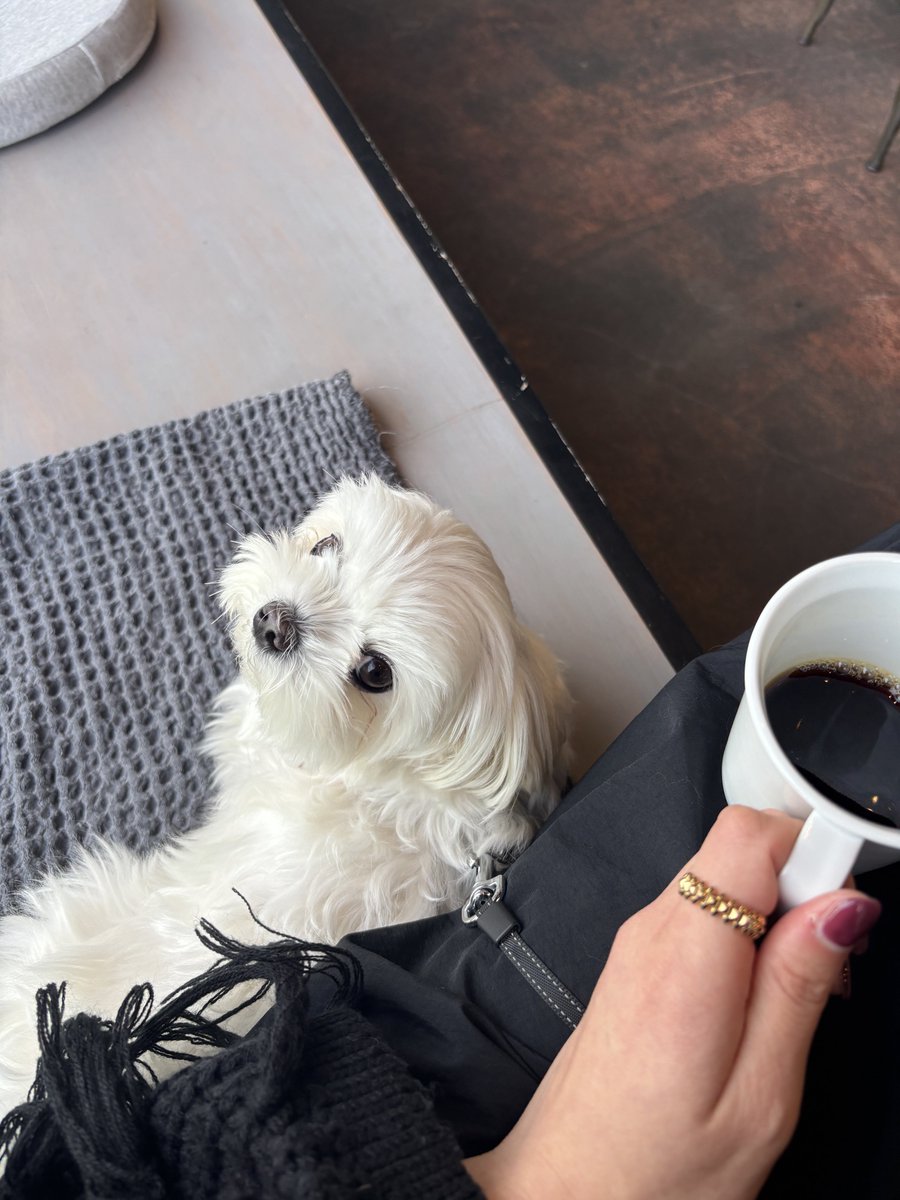 もじゅ tweet media