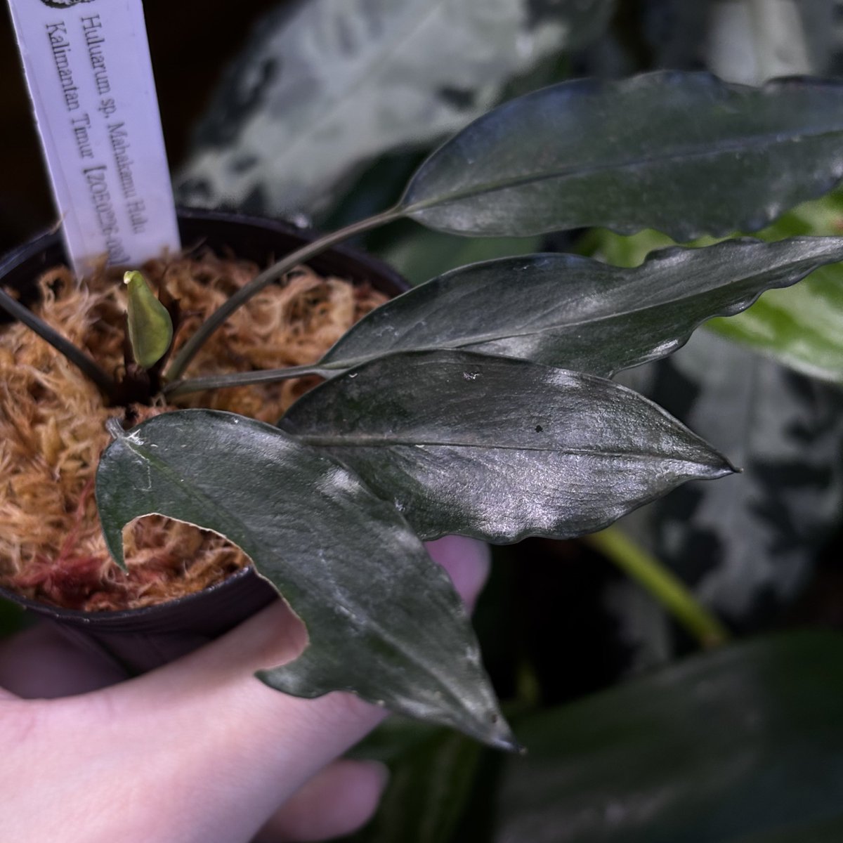 間も無く終了です！