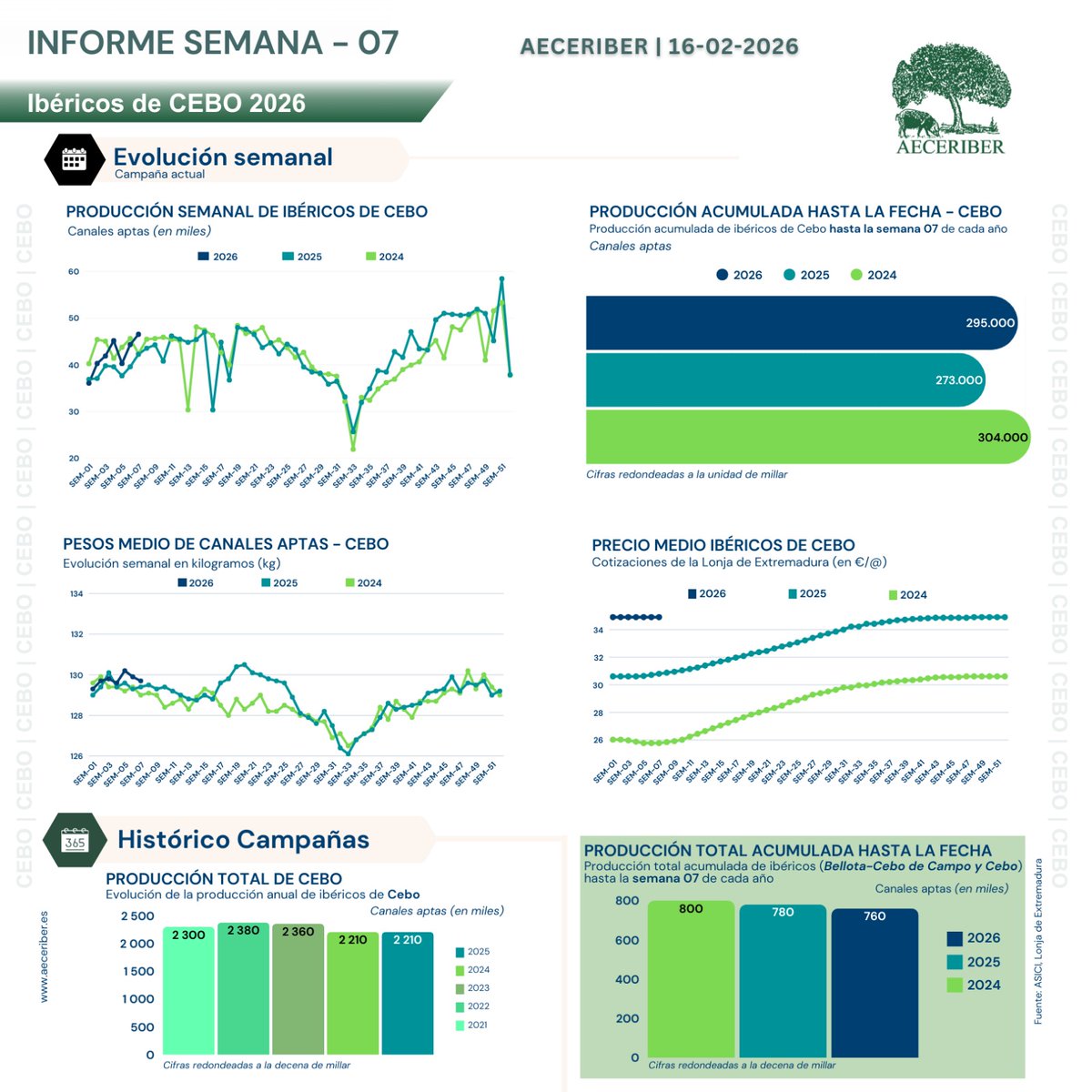 AECERIBER tweet media