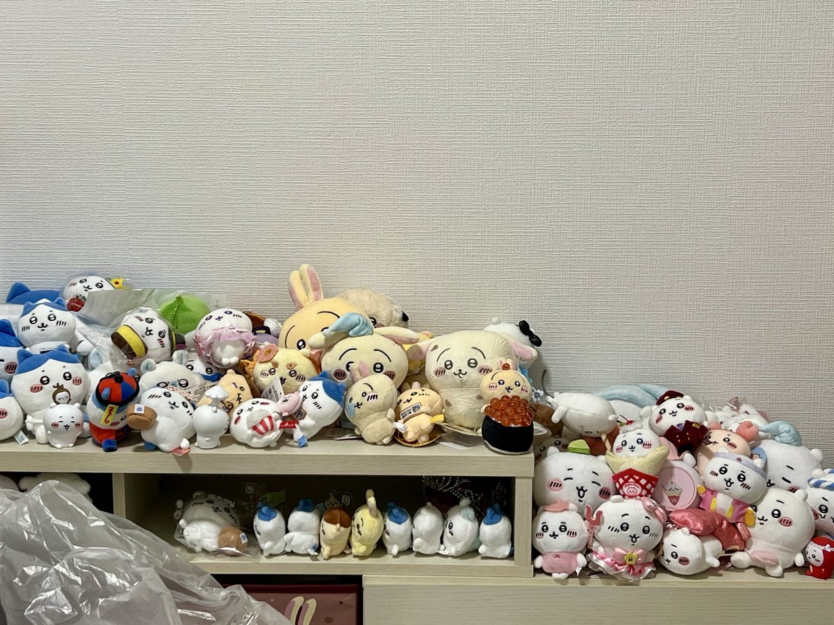 chikawa_w's tweet photo. もっと綺麗に並べてあげないと…(焦)
けど量増えて増えて仕方ない🤯
1K6畳の部屋、ほぼちいかわで埋め尽くされてるよね🥹 https://t.co/6U8qJf4p9n
