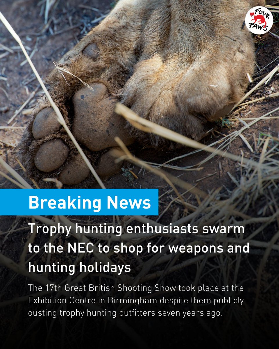 #BreakingNews: The NEC, Birmingham hosted a dark &amp; cruel exhibition where blood-thirsty trophy hunters could buy holidays to slaughter animals and view weapons to kill them with, this weekend.
 
Thank you, <a href="/NadaFarhoud/">Nada Farhoud 🇱🇧🇬🇧 💚🌳🐾</a>, for showing the sickening reality behind the Shooting Show.