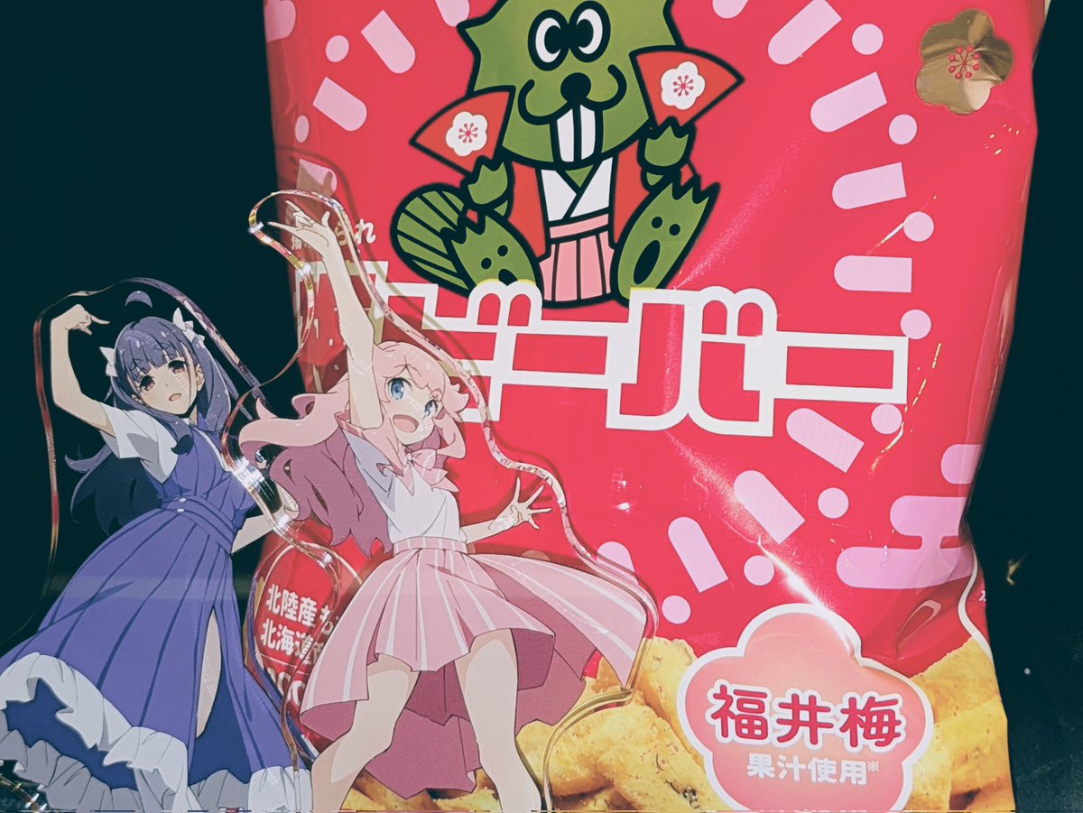 福井の女　福井のビーバー