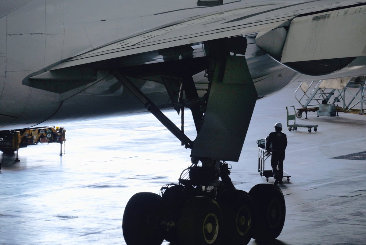 espr___'s tweet image. 