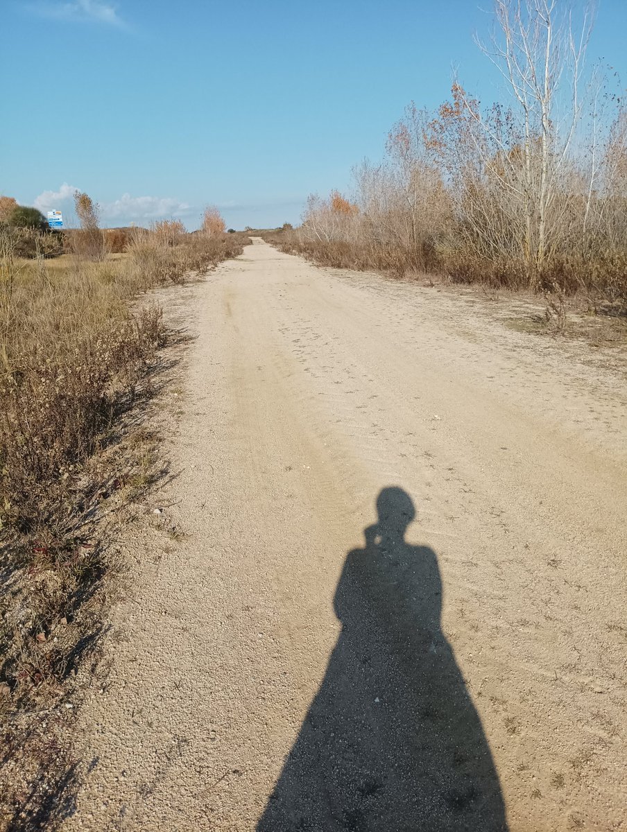 MariaLuz (@cosculuz) on Twitter photo 