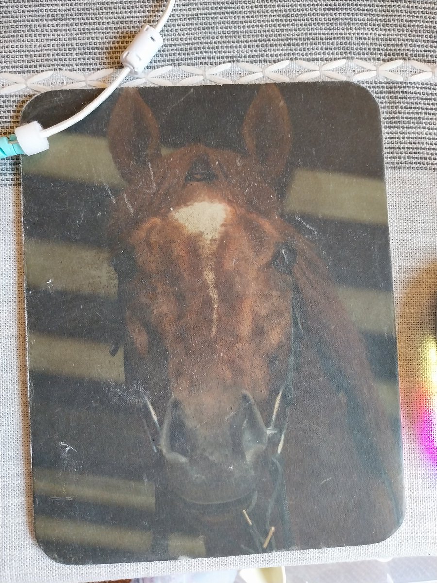 I Just Want To Watch Horse Racing tweet media