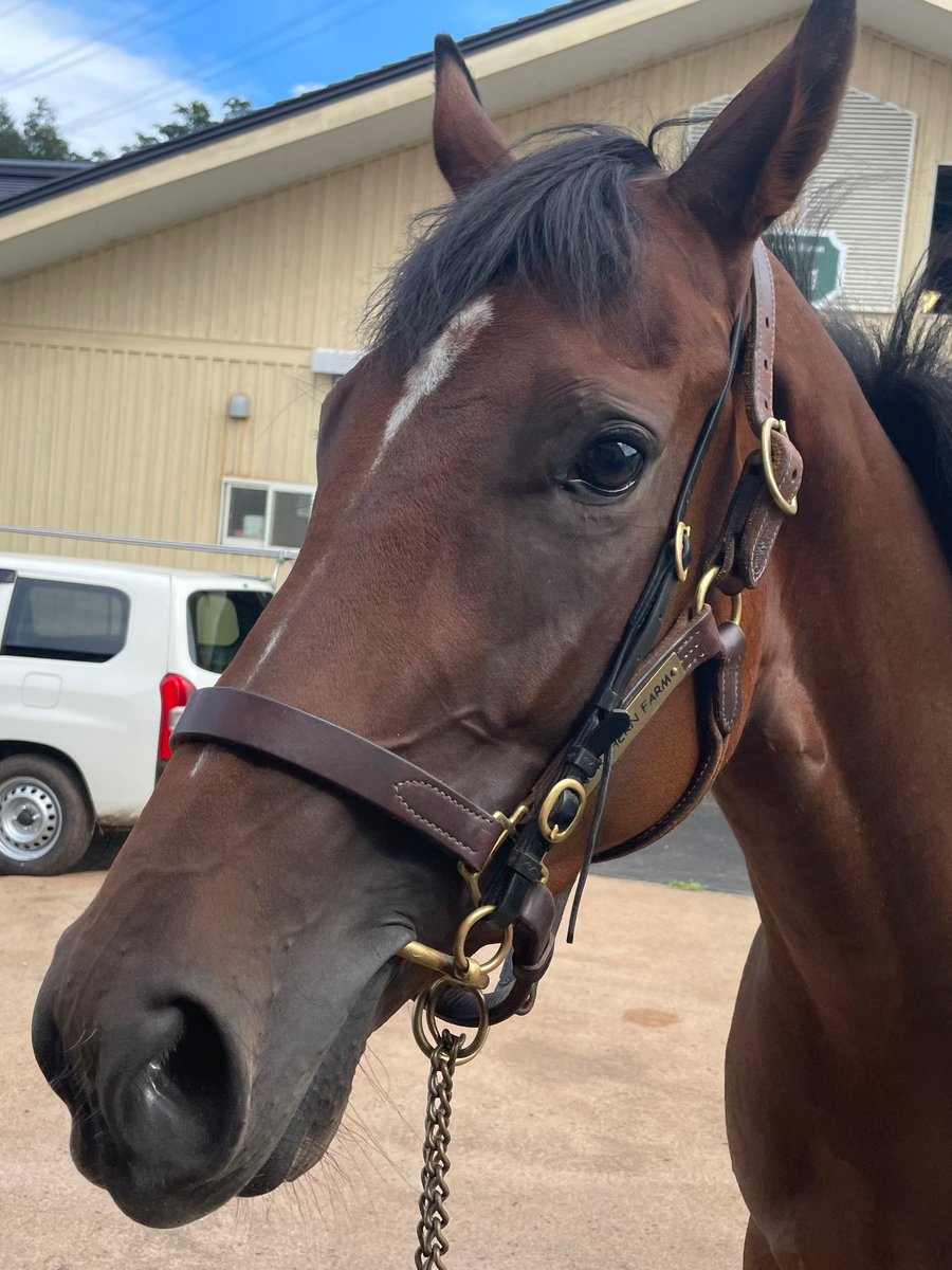 リバティアイランド