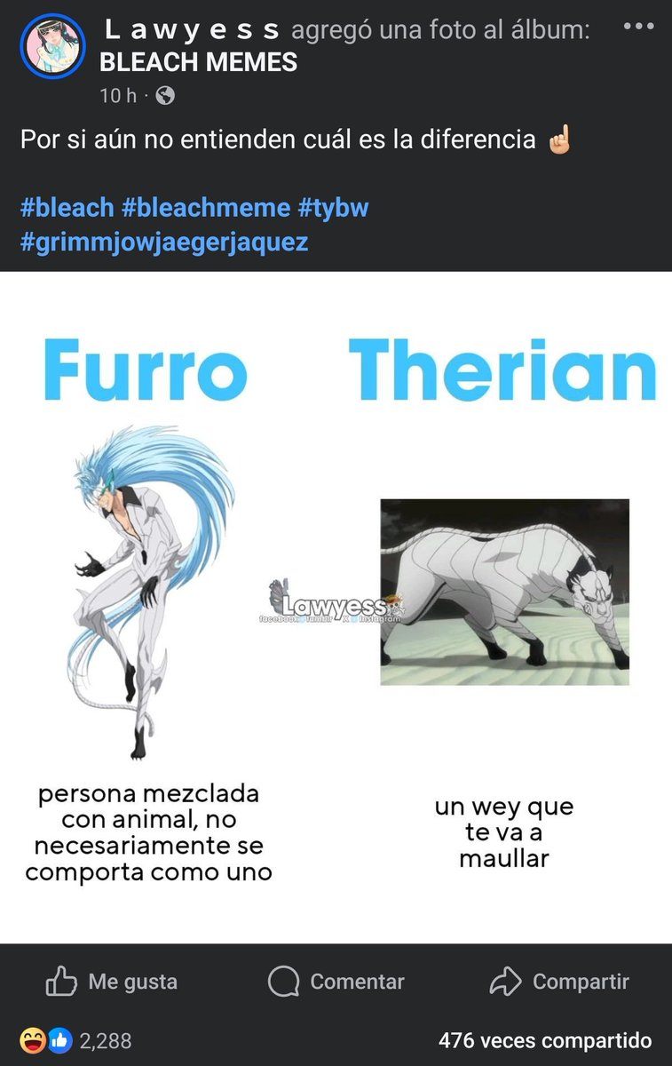 KaiserWolf ➡️ Arco 1 tweet media