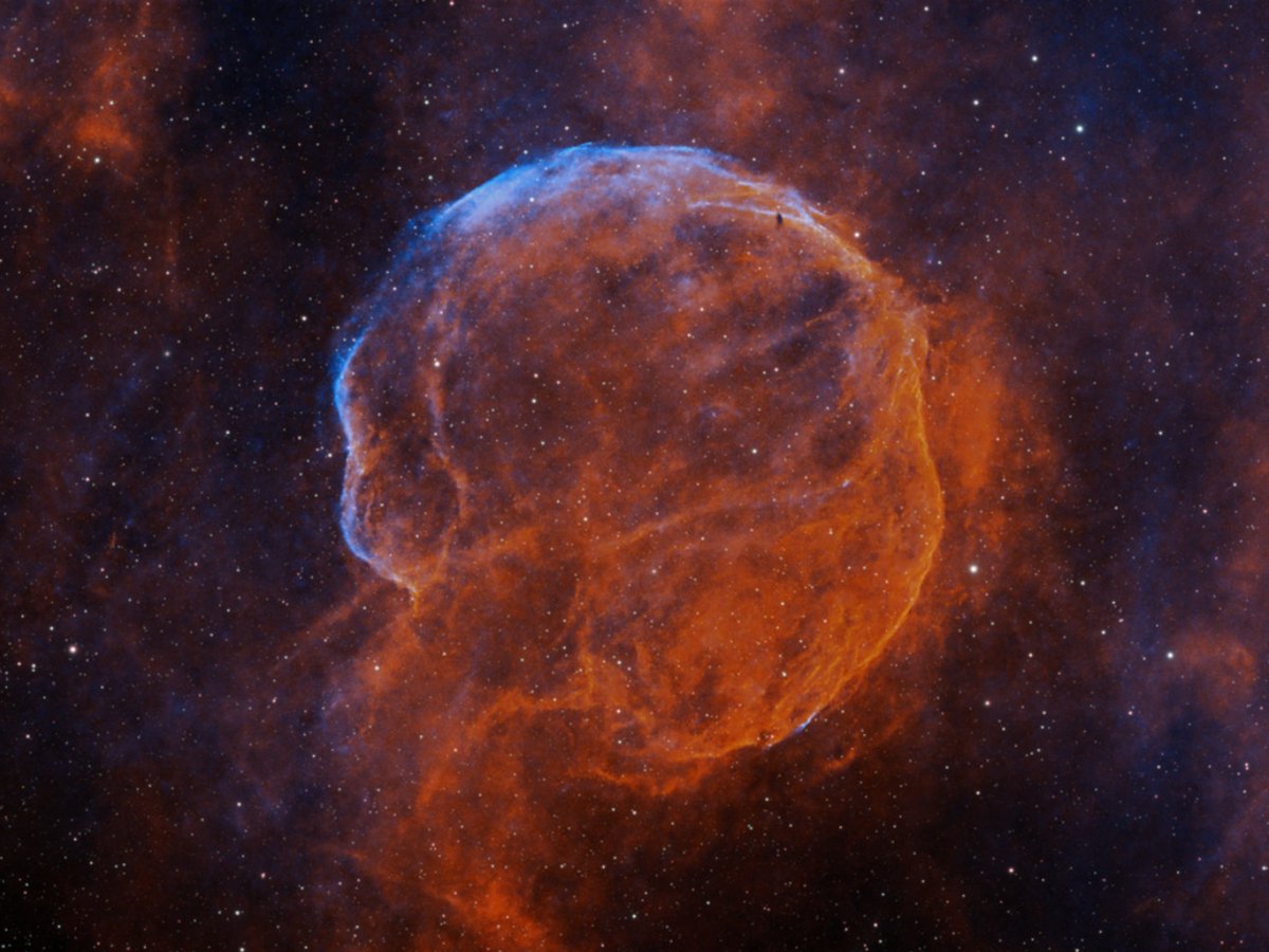 Insight Observatory tweet media