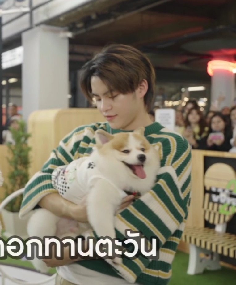pha_phae010's tweet photo. คาแรคเตอร์เหมือนกันเป๊ะมากก น้องไข่มุกก็อยู่นิ่งๆพร้อมให้พิ่เอเอพรีเซ็นชุด ส่วนพี่มาร์คกับน้องน้ำขิงเหมืนจะหลับทั้งยืนมาก🤣🤣🤣
#MARCKRIS #AAashirakorn
#SpotifyWrappedxBUS https://t.co/9OpiyEiXAx