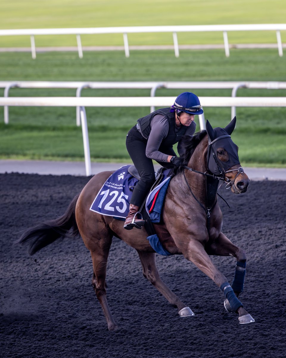 Remember this place, KHAADEM ⁉️

<a href="/cbhills/">Charlie Hills</a> 10yo is back in Dubai for the first time since 2023!

#DubaiCarnival | <a href="/GBRI_UK/">GBRI</a>