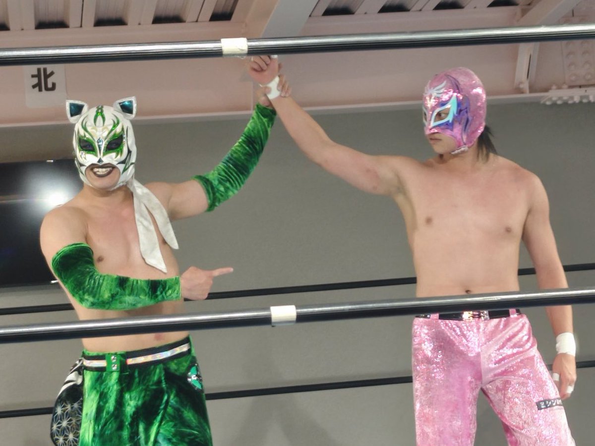 𝐉𝐞𝐰𝐞𝐥 𝐁𝐢𝐫𝐝 ジュエル・バード tweet media