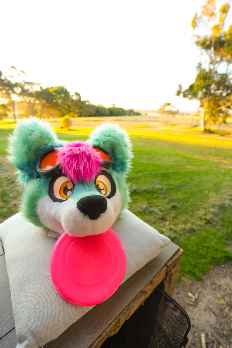 Winderbeast tweet media