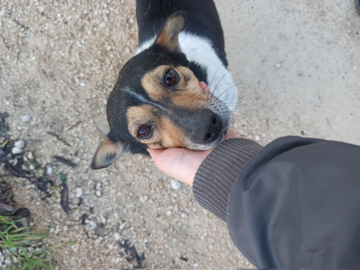 luna🍒 #boykot tweet media